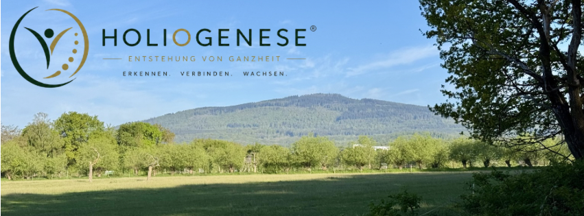 Sonnenuntergang über ruhigem Meer mit Felsen und bewölktem Himmel.